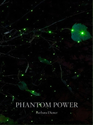 Phantom Power, De Alison Grant. Editorial Daylight Books, Tapa Dura En Inglés