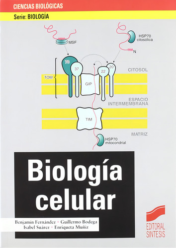 Biologia Celular, De Fernandez, Benjamin. Biología Editorial Sintesis, Tapa Blanda, Edición 1.0 En Español, 2005