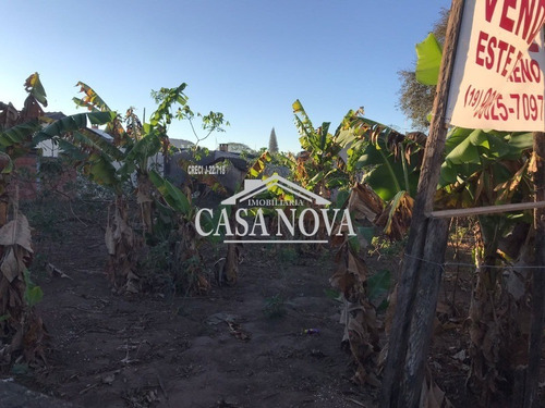 Imagem 5 de 5 de Terreno - Te01423 - 70009192