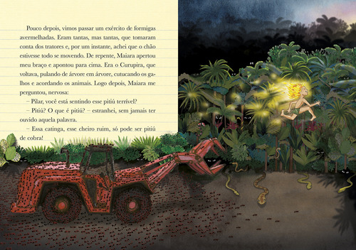 Diário De Pilar Amazônia, De Flávia Lins E Silva. Editora Pequena Zahar, Capa Mole Em Português