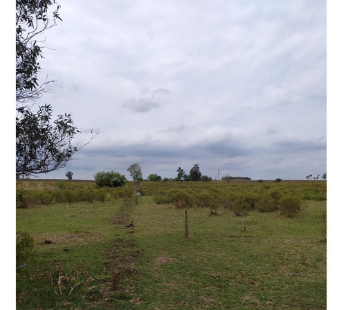 Vendo Muy Lindo Campo De 11 Has, Casa, Monte, Tajamar, Zona Tranquila Consulte