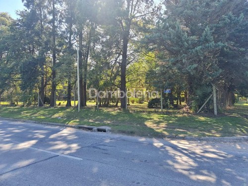 Imagen 8 de 14 de Terreno Fraccion En Venta Sobre Colectora Norte Acceso Oeste - General Rodríguez - G.b.a. Zona Oeste
