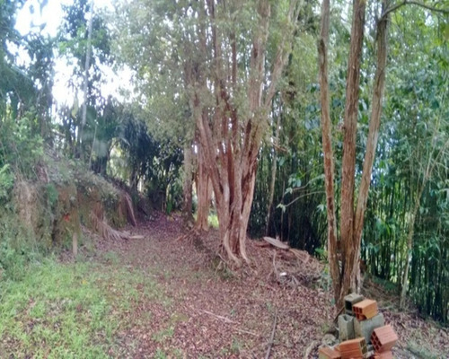 Imagem 7 de 26 de Chácara À Venda Em Juquitiba. - 315 - 32982813