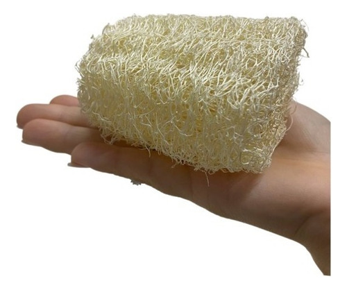 Esponja Bucha Vegetal Pequena Multiuso Mini 1 Un
