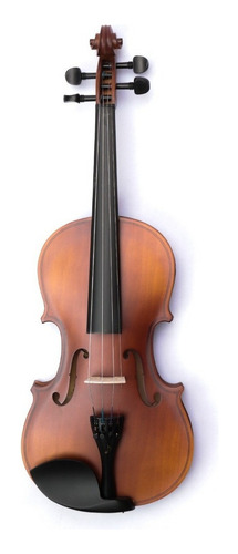 Violín 4-4 Acústico Profesional Madera Estuche Y Accesorios