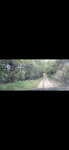 Venta De Finca Agrícola Y Cafe 