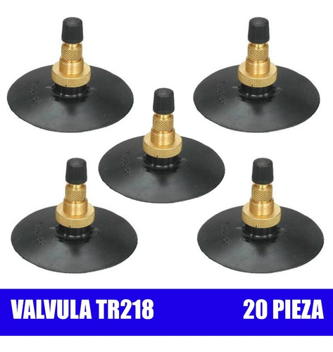 20 Válvula Pivote Para Camara Tr218 Agricola Tractor Schrade