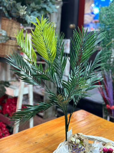 Plantas Artificiales, Lady Pía, Planta Palmera 6 Varas