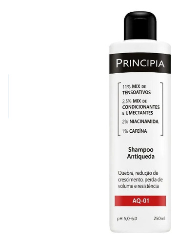 Shampoo Antiqueda Principia Skincare Aq - 01 Com 250ml