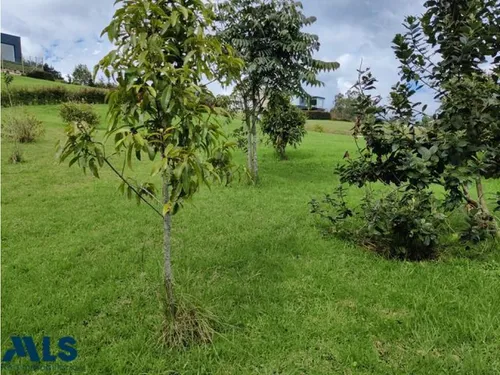 Hermoso Lote En Parcelacion En Alto De Las Palmas(mls#237565)
