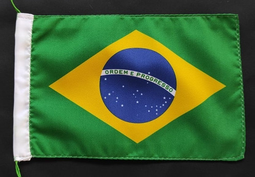 Bandeirinha Do Brasil 12x17cm Estampada Dupla Face