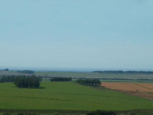 Campo En Venta En Rocha Ref. 5130 (ref: Cbr-938)
