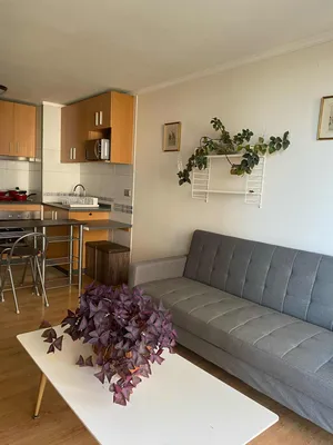 Departamento en arriendo