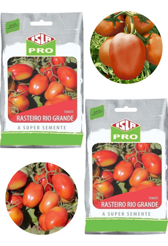 20.000 Sementes Tomate Rasteiro Uso Pro Baixo Custo Produção