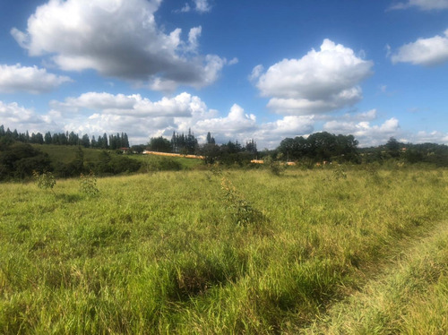 Imagem 1 de 1 de Sem Burocracia - Terreno Em Mairinque/mato Dentro