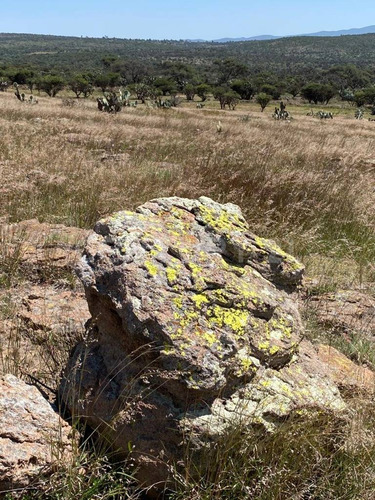Lote De 2,836 M2 En Fraccionamiento A 16 Km Del Centro De San Miguel De Allende