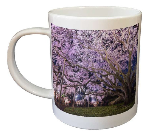 Taza Magica Paisaje Japon Hanami Arbol Cerezo Plaza