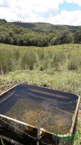Imagem 15 de 15 de Sitio Em Oliveira - 2852