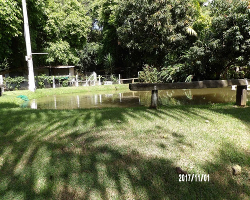 Imagem 17 de 27 de Chácara - Ch00511 - 32823049