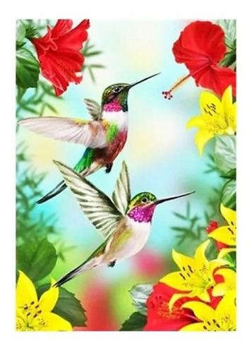 Kit Diamond Painting Pintura De Diamante - Pareja De Colibri