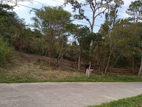 Imagen 2 de 8 de Lote De Terreno En El Valle 1.068mts