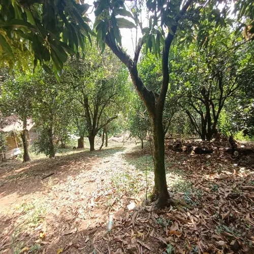 Vendo Lote En La Buitrera