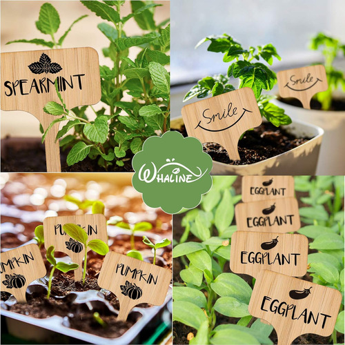 50 Etiquetas De Bambú Para Plantas Con Un Rotulador, Etiquet