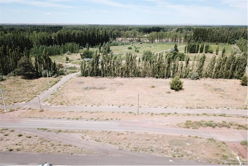 Imagen 18 de 30 de Terreno La Consuelo 499 Mts