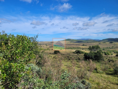 Imagen 4 de 22 de Campo Turístico 145hás En Zona De Pan De Azúcar