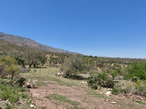 23 Hectáreas, Excelente Ubicación, Insuperable Vista
