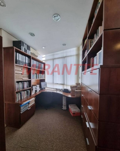 Imagem 3 de 16 de Comercial Em Bela Vista - São Paulo, Sp - 368717