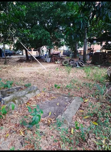 Vende Terreno Monte Alegre. M.c.