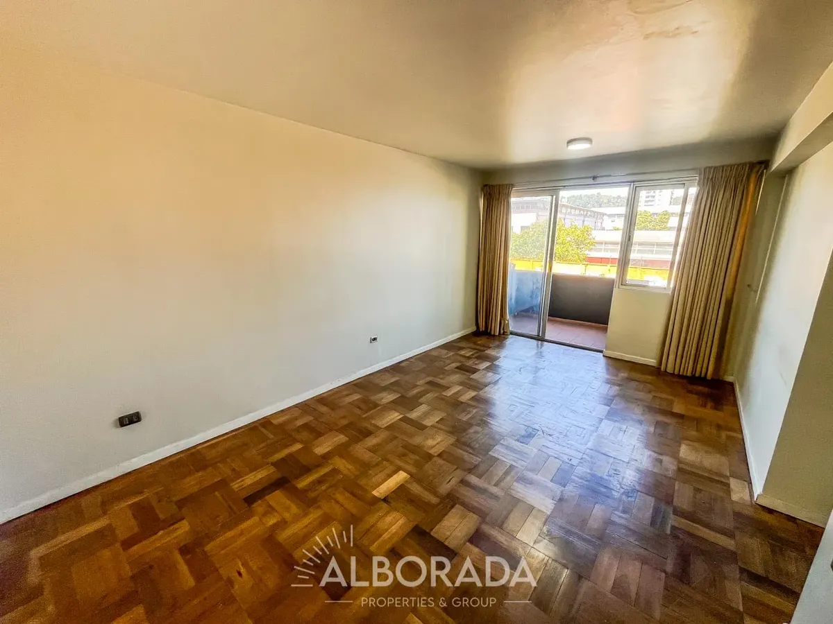 Imagen 2 de 19 de Vendo Céntrico Departamento En Concepción