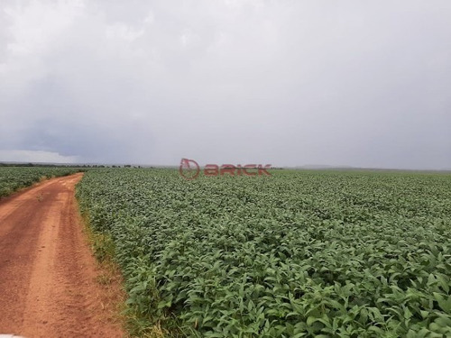 Imagem 8 de 9 de Fazenda A Venda Em Santa Maria Do Tocantins, Com Dupla Aptidão, Por R$ 60 Milhões Com 3.789 Hectares. - Fa00068 - 70732060