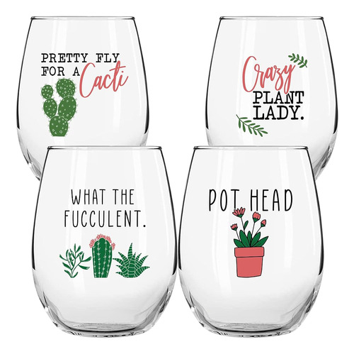 Regalos De Vino De Cactus De Plantas Suculentas Para Mujeres