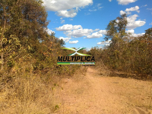 Imagem 8 de 15 de Fazenda 102,22 Hectares, R$ 2.788,10 Ha, Santa Fé De Minas Mg, Pecuária, - 442