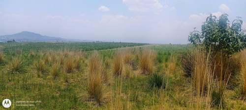 Terreno En Santa Cruz Cuauhtenco