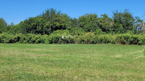 Terreno Lote  En Venta En Colonia Estrella, Carmelo, Colonia