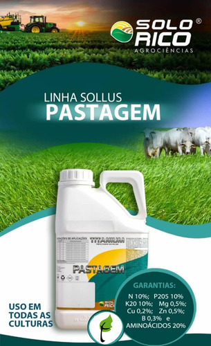 Fertilizante Para Pastos E Gramados Titanium Pastagem - 5lts