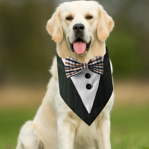 Bandana Para Perros Bandanas Grandes Para Perros Bufanda De