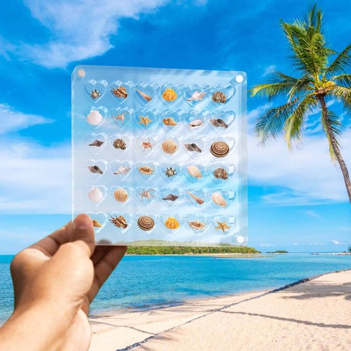 Caja Expositora De Conchas Marinas De Acrílico Caja De Almac
