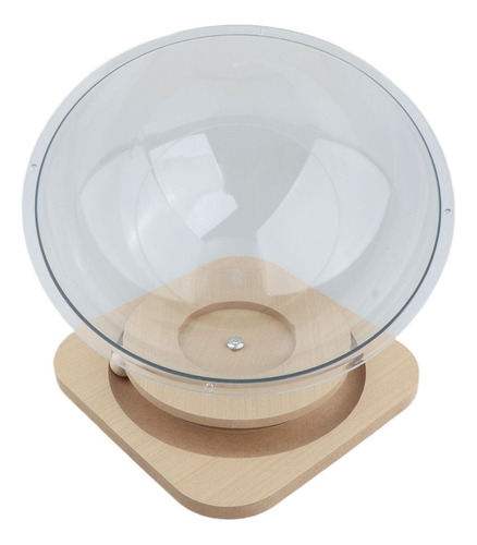 Cama Para Gatos Con Forma De Cápsula Transparente, Universal