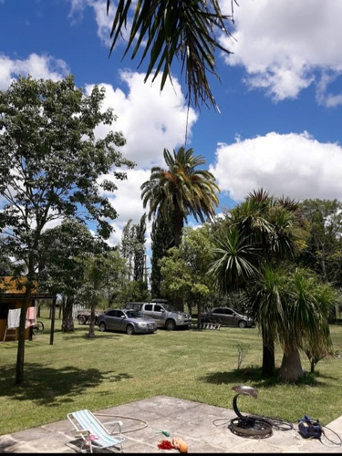 Imagen 13 de 14 de Campo En Gobernador Sola, Entre Rios.