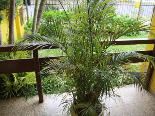 Imagem 4 de 30 de Casa - Ca00220 - 69960993