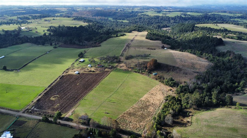 Agrícola En Venta En Paraguay Chico, Comuna De Los Muermos