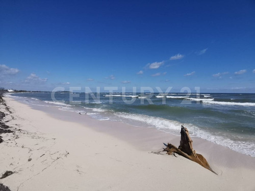 Oportunidad!!se Vende Terreno Frente Al Mar Mahahual-rio Indio P1200