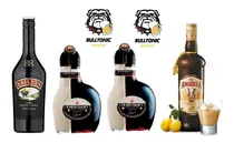 Comprar Baileys Amarula Sheridans X2 Combo Licores Envio Gratis Pais