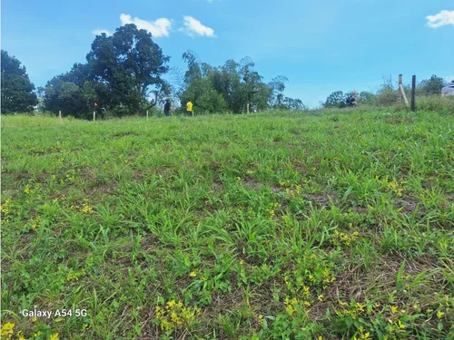 Venta Lotes En Quimbaya -quindío Colombia Cod: 7555717