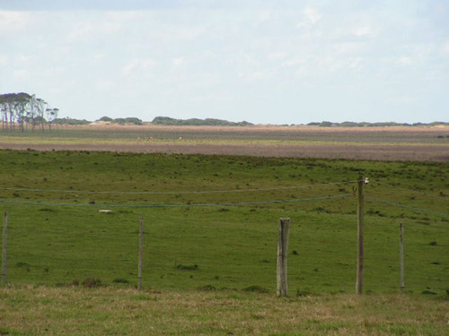 Campo Con Costa Oceánica Ref. 1562 (ref: Cbr-1190)
