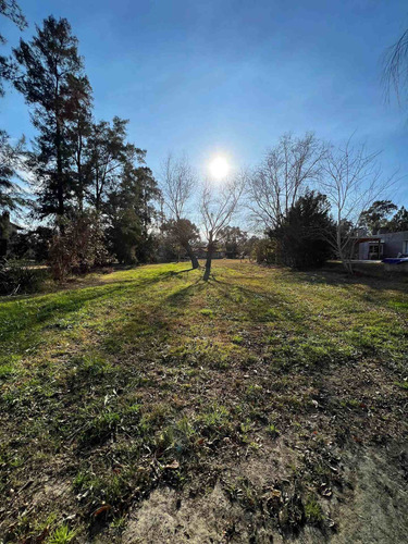 Imagen 13 de 15 de Lote Terreno Venta Mil Metros Excelente